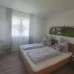 Apartman Neue Bodenseeferienwohnung Mit Terrasse Und Garten Uhldingen-Mühlhofen